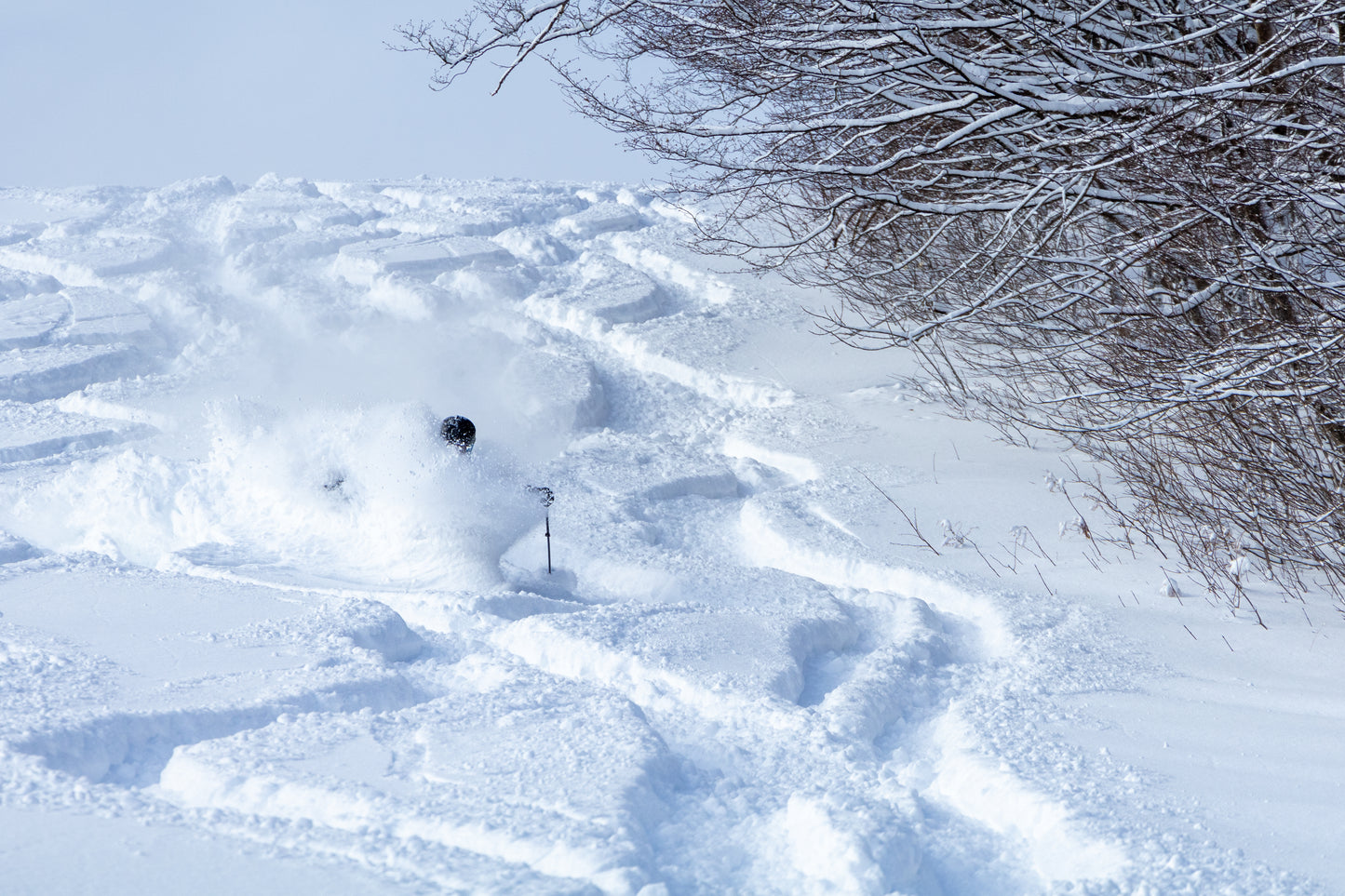 Whiteroom on the Ridge