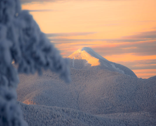 Colden Alpenglow