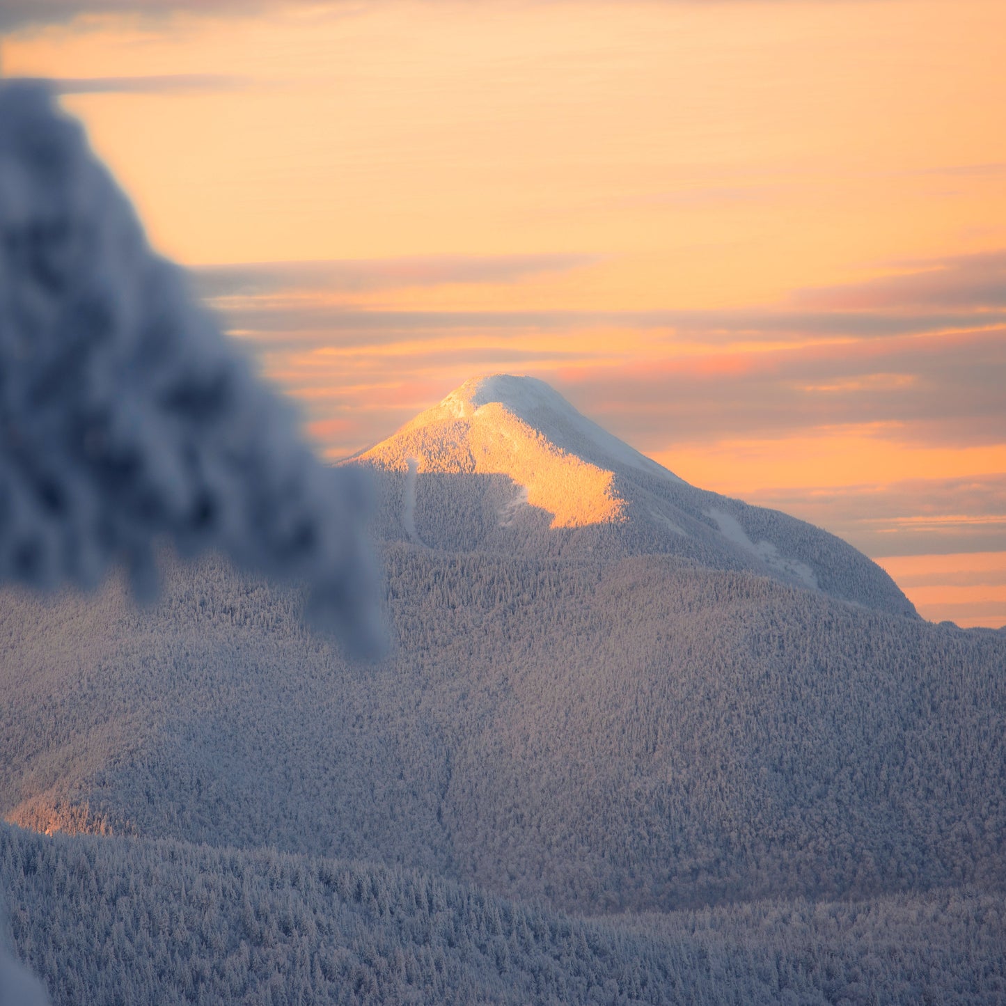 Colden Alpenglow