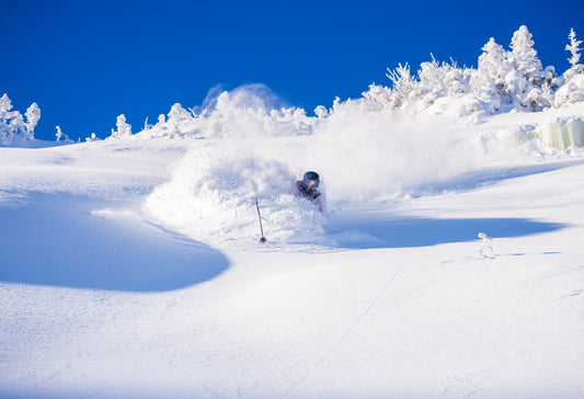 The White Room