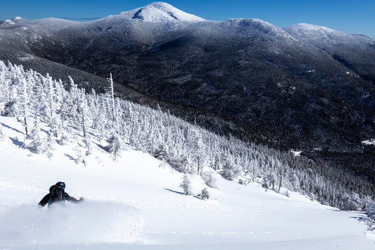 Bluebird Backcountry
