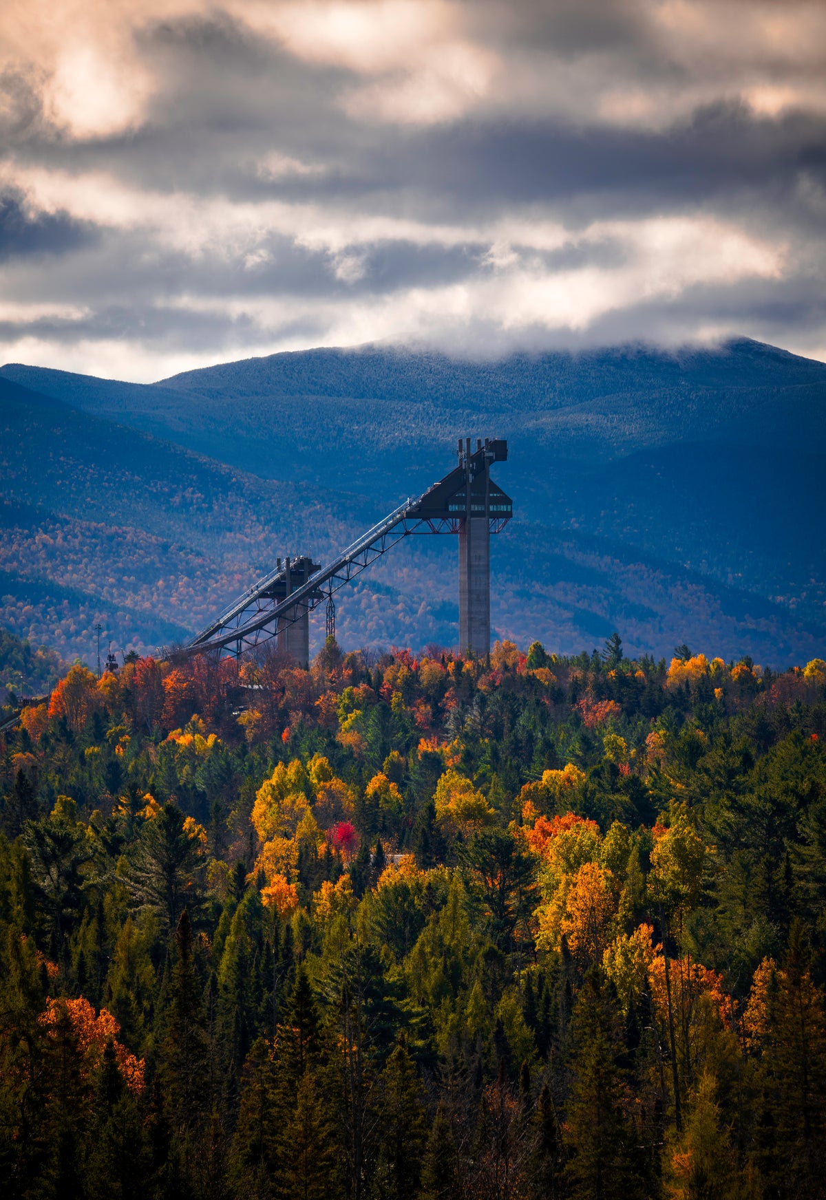 Olympic Foliage